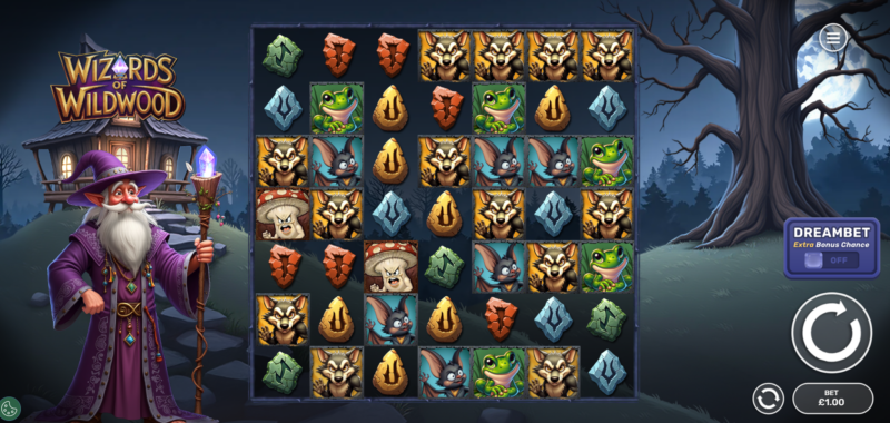 Wildwood Büyücüleri